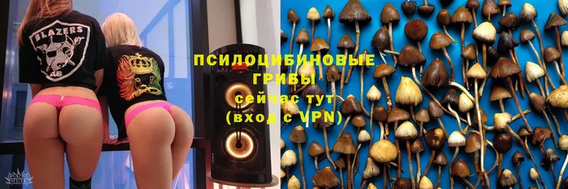 Галлюциногенные грибы MAGIC MUSHROOMS  Зеленоградск 